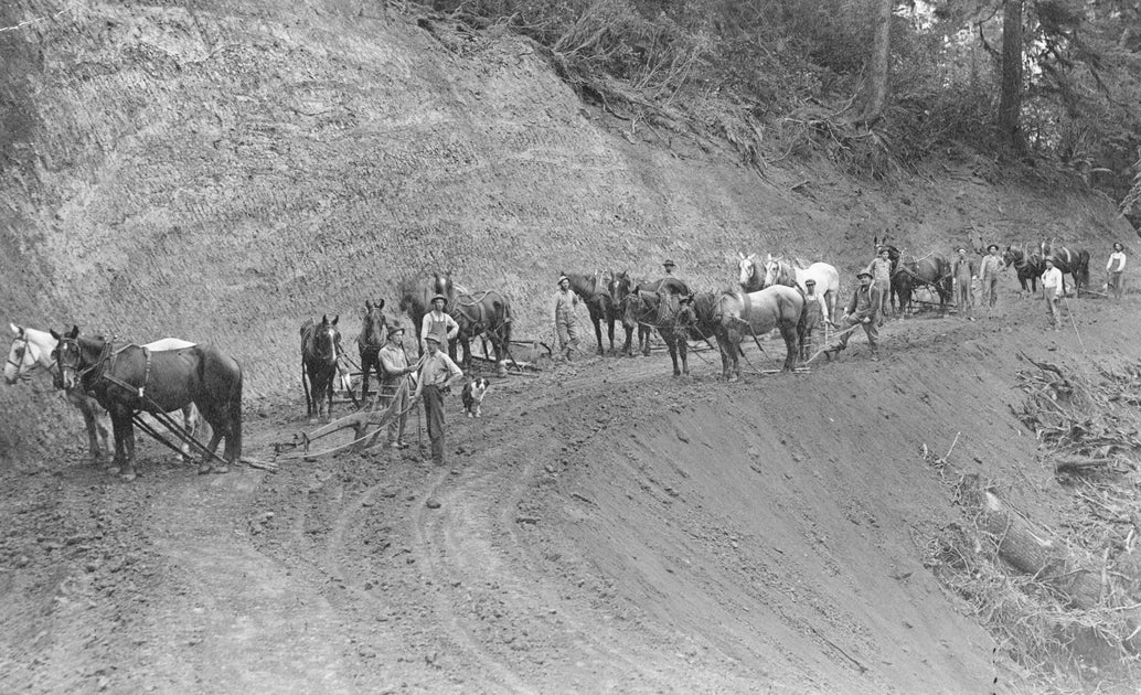 Tillamook County History: Pictorial History Book – Pediment Publishing