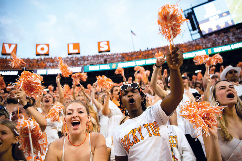 Tennessee Volunteers - Go Big Orange - Vol Wall Art