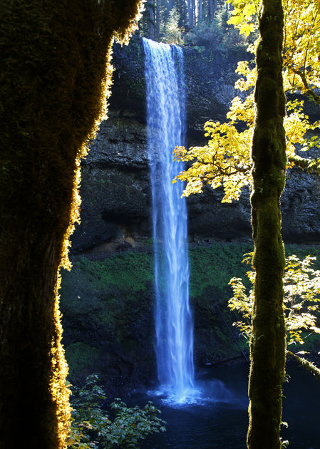 Oregon's Natural Treasures – Pediment Publishing