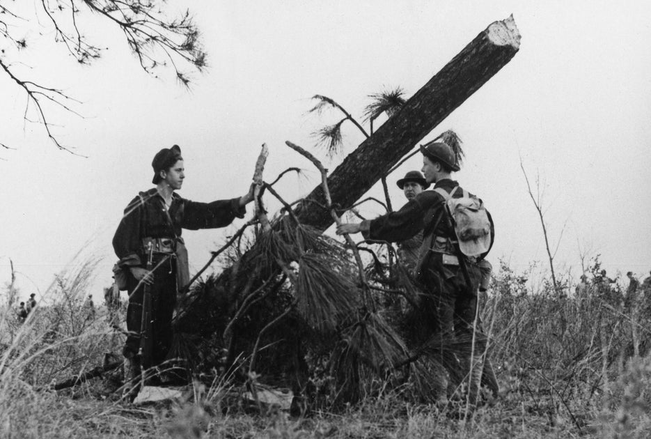 Central Louisiana World Wars I II Photo History Book Pediment   117 1200x630 