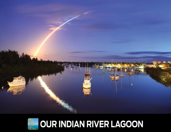 Our Indian River Lagoon